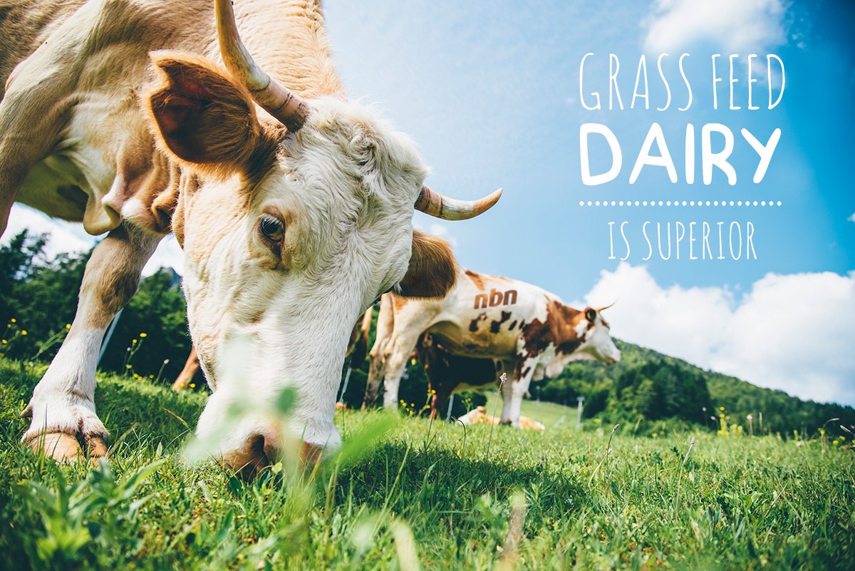 Grass fed